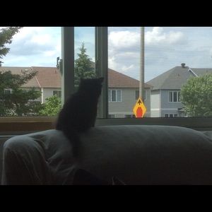 Meet your Posher, Suzanne